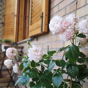 https://scacciapensieri-vicino-al-policlinico-e-al-centro-citt.it-tuscanyhotel.com